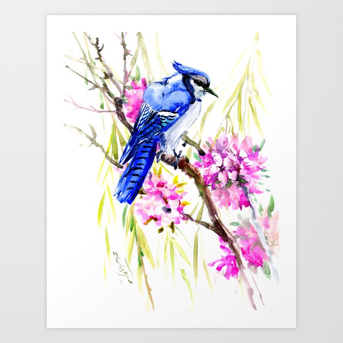 Blue Jay and Cherry Blossom, Blue Pink Birds and Flowers Art Print