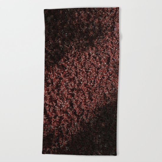 Autumn’s red hedge Beach Towel