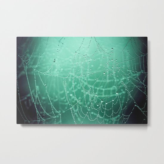 two webs Metal Print