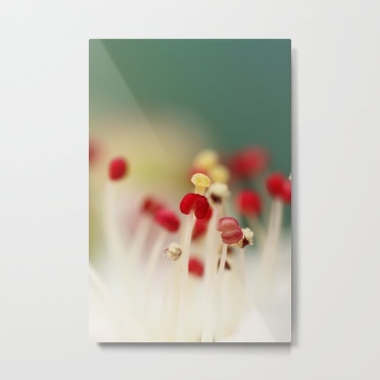 Flower Candy Metal Print