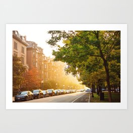 Boston, MA - Commonwealth Avenue Art Print