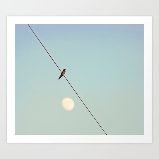 Bird on Wire Art Print