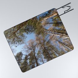 Scottish Highlands Spring Canopy  Picnic Blanket