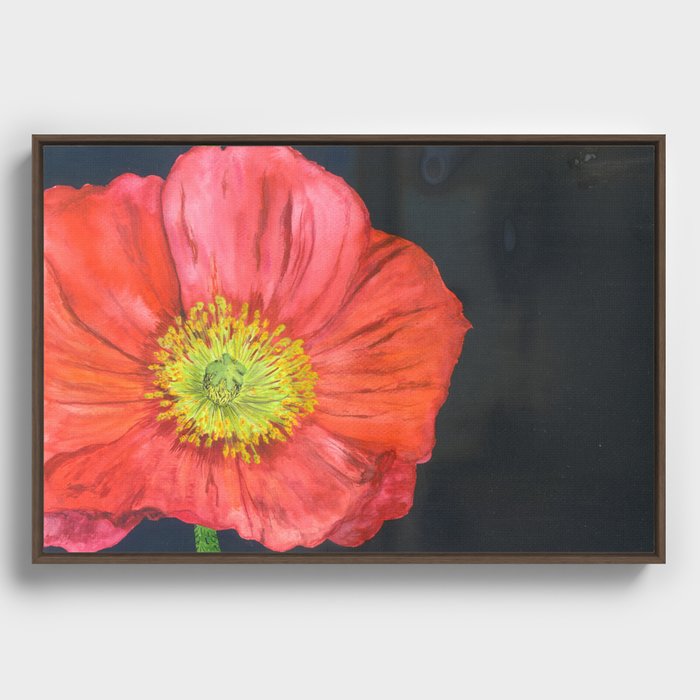 poppy: watercolor botanical art Framed Canvas