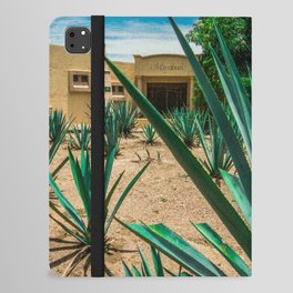 Mexico Photography - Agave Plant In A Mexican Garden iPad Folio Case
