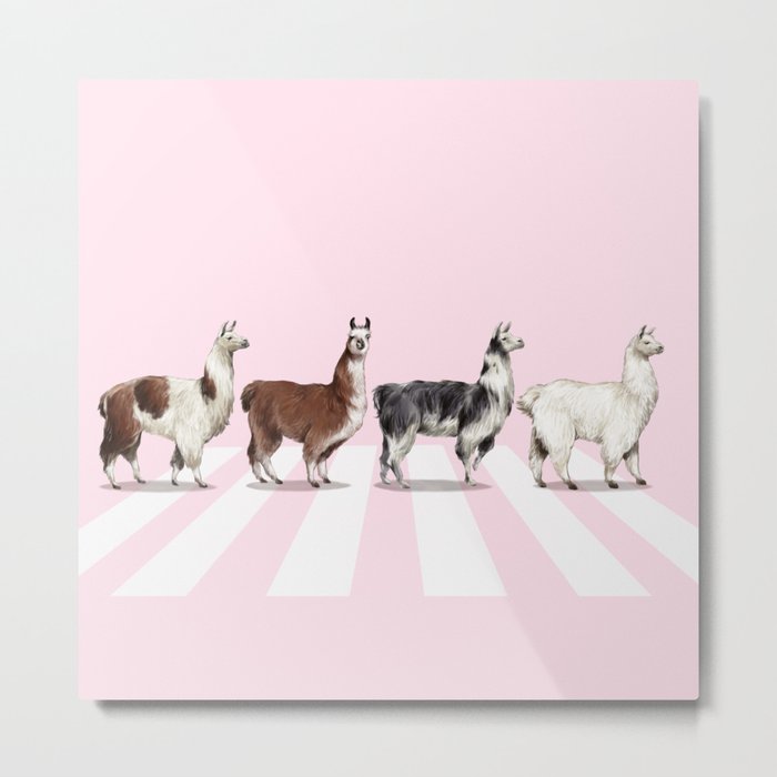 Llama The Abbey Road Pink Metal Print