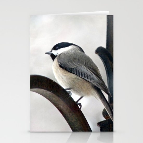 my Little Carolina Chickadee Stationery Cards