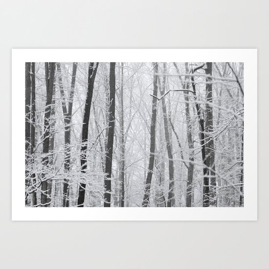 Winter Wood Art Print