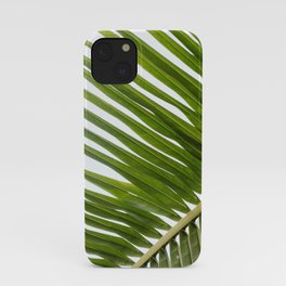 Green palm leaf close-up | Tropical art print | Travel photography iPhone Case