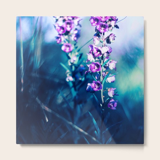 Efflorescence Metal Print