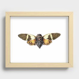 Cicada 2 Recessed Framed Print