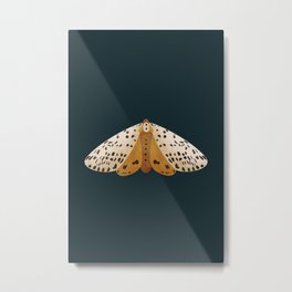 moth illustration on dark everglade background Metal Print | Wildlife, Illustration, Nocturnal, Modern, Forest, Simple, Colored Pencil, Moth, Garden, Magic 