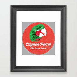 Cayman Parrot Framed Art Print