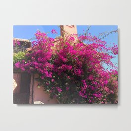 Bougainvillea Metal Print | Bougainvillea, Blossoms, House, Sanfrancisco, Adobe, California, Colorful, Flowers, Digital, Pink 
