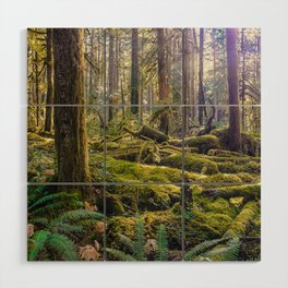 Tranquil Forest  Wood Wall Art