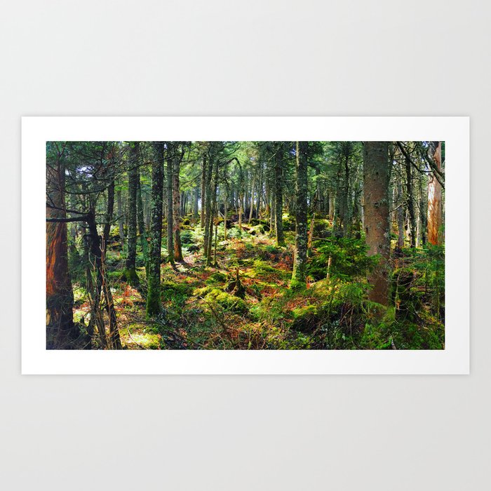 Late Spring Forest Art Print