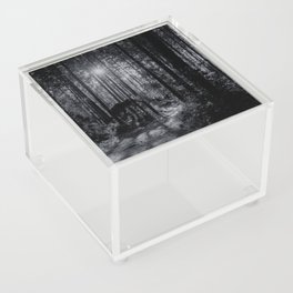 Sunlight, rays of sun, through the majestic forest trees and lonely path black and white nature photograph - photography - photographs Acrylic Box