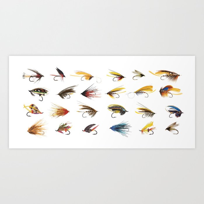 Fly Fishing Flies Art Print by Moosepaw2