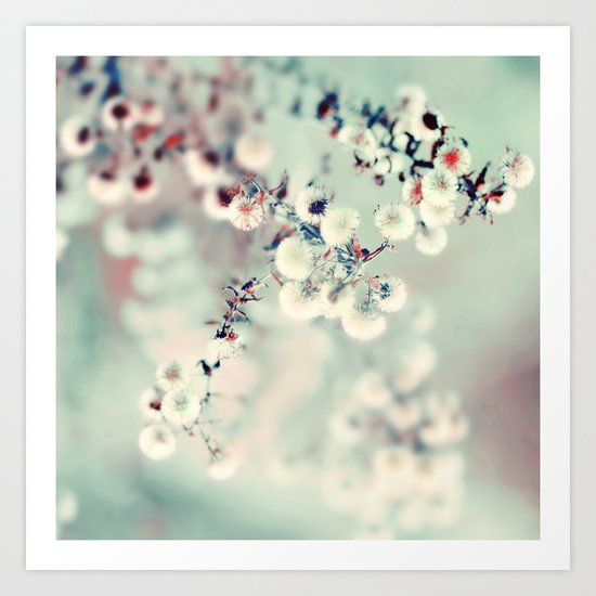 Midwinter Daydream Art Print