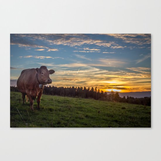 Switzerland Canvas Print