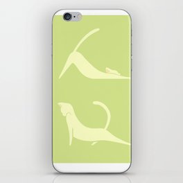 stretches iPhone Skin