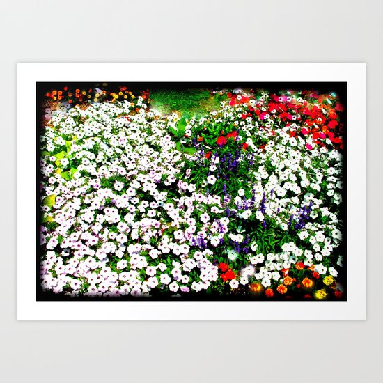 White Flowers Art Print