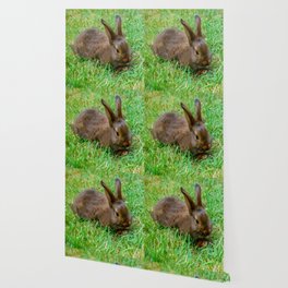 Baby Bunny Wallpaper For Any Decor Style Society6