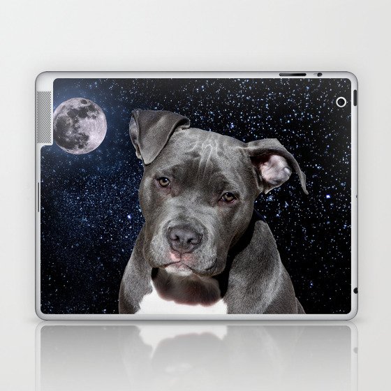 society6