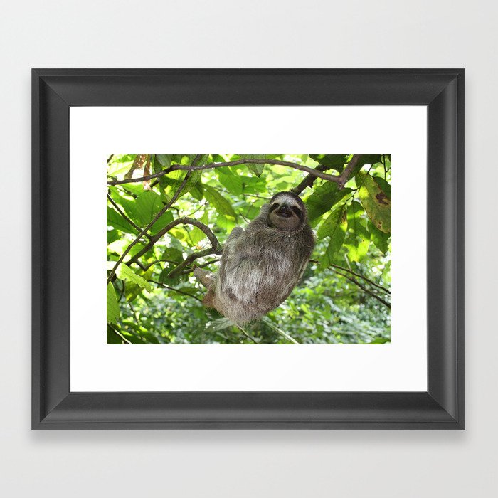 Sloths in Nature Framed Art Print