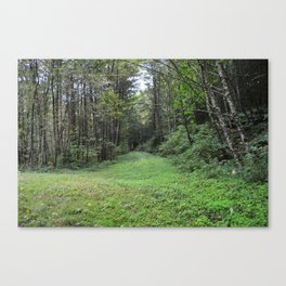 The Greenest Path Canvas Print