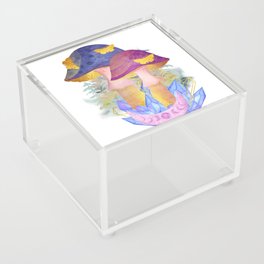 Watercolor Butterflies Mushrooms Crystals Moon Phases Acrylic Box