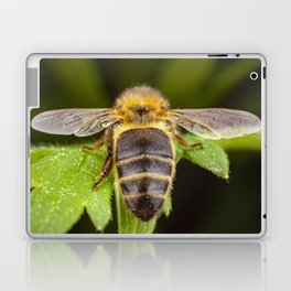 Bee from back Laptop Skin