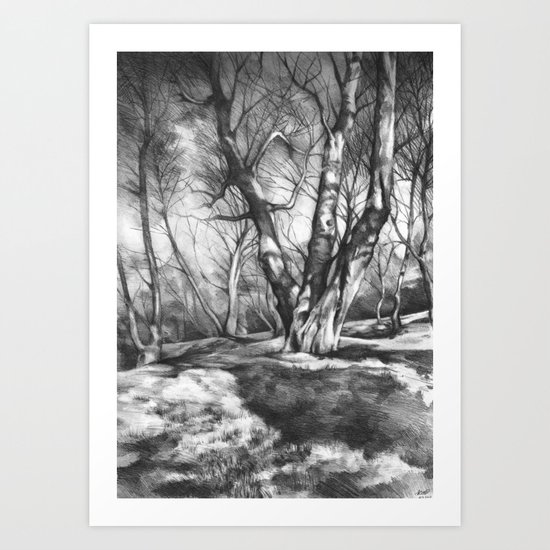 Musing of Trees Art Print