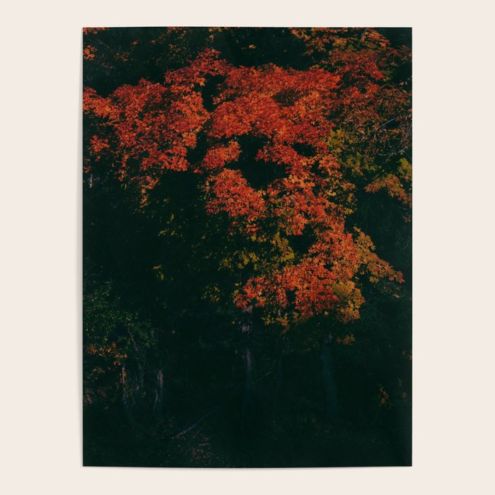 O Fiery One Poster By Cai Cheng Society6 o-fiery-one-poster-by-cai-cheng-society6