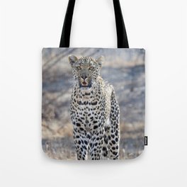 South Africa Photography - White Leopard In The Winter Weather Tote Bag