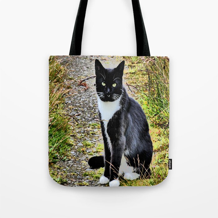 Friendly Cat of the Scottish Highlands in I Art Tote Bag
