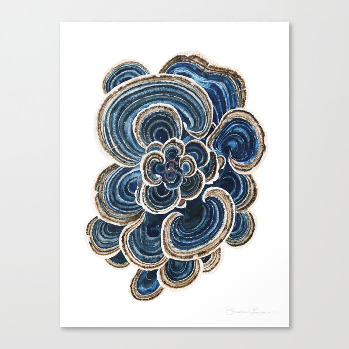 Blue Trametes Mushroom Canvas Print
