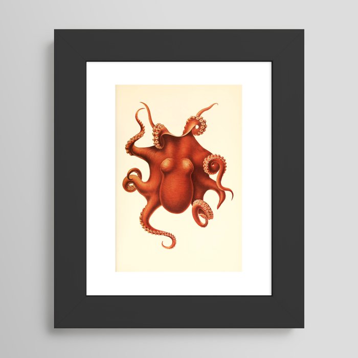 Framed Art Print