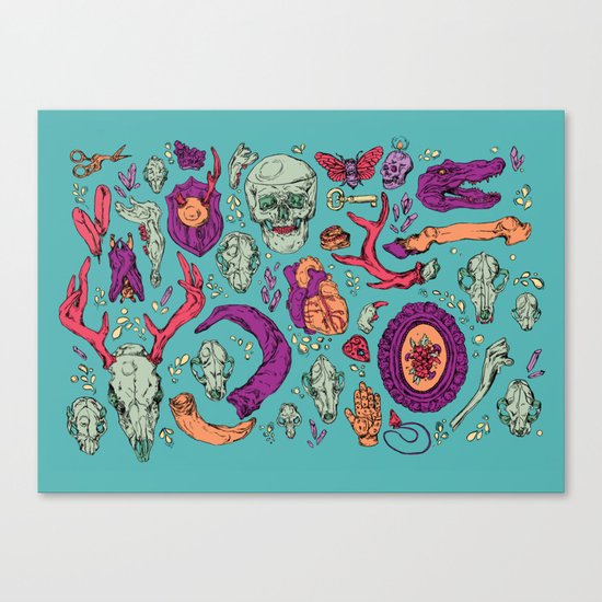 A Curious Collection Canvas Print