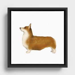 Corgi Dog Framed Canvas