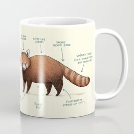 Anatomy of a Red Panda Mug