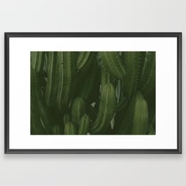 Cactus Wall Art | Desert Wilderness Framed Art Print