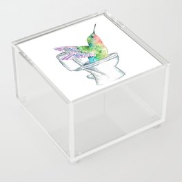 Hummingbird in the bathroom painting watercolour Acrylic Box