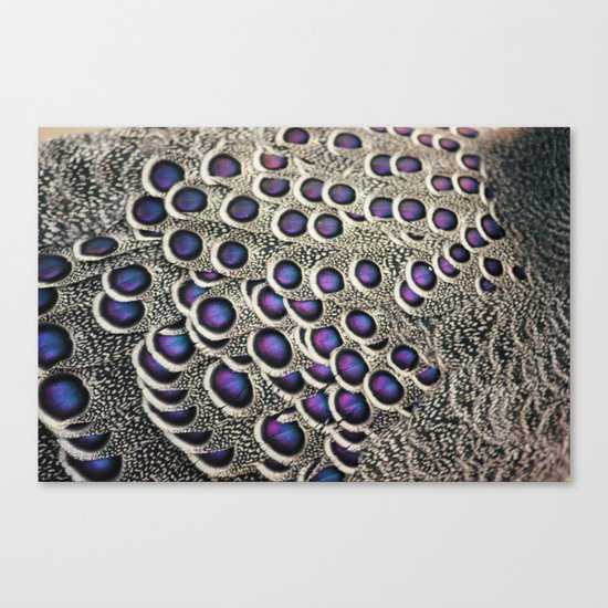 Let Your Colors Shine Canvas Print