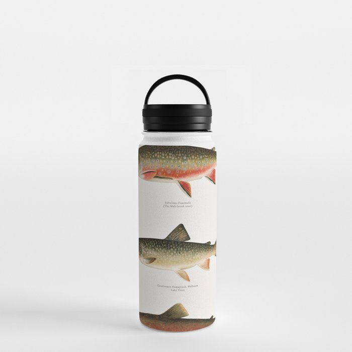 Illustrated North American Freshwater Trout Game Fish Identification Chart Water Bottle