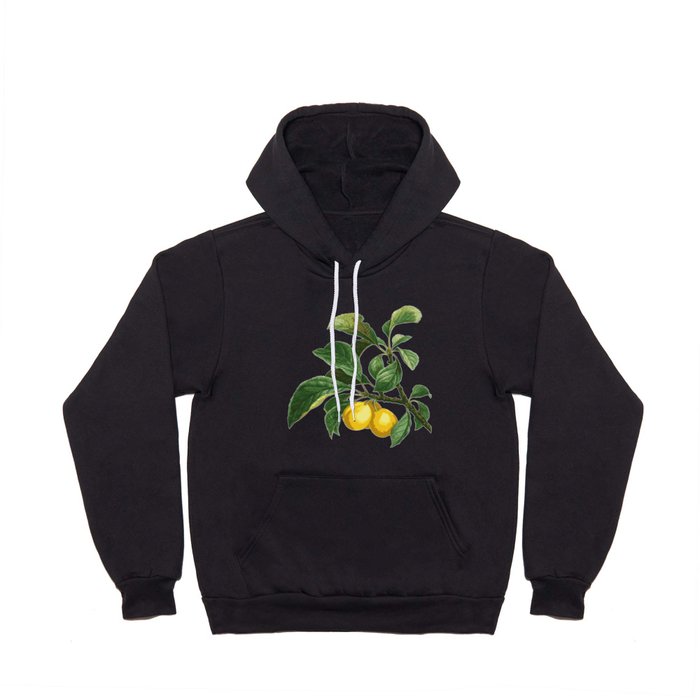 an Apricot tree of life Hoody