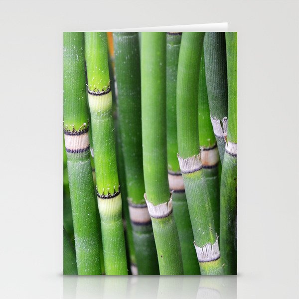 Bamboo Green Lines Stripes Reed Stalk Stationery Cards