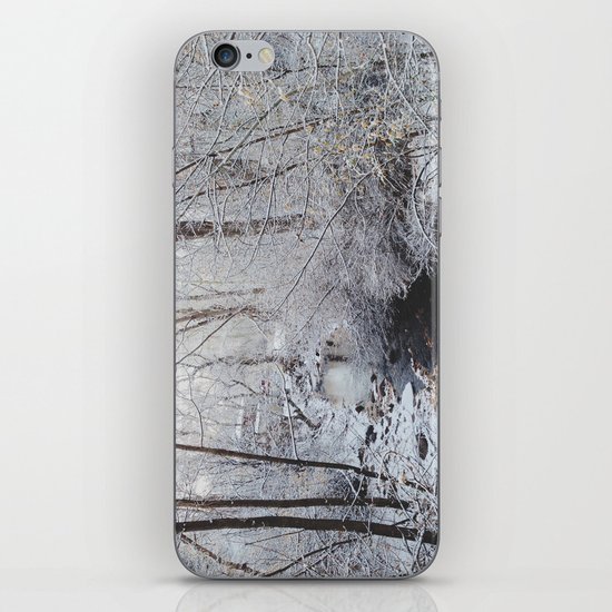 Winter Creek iPhone & iPod Skin