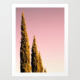 Italian Cypresses Art Print