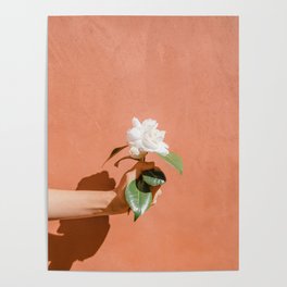 Hand Holding Flower Poster